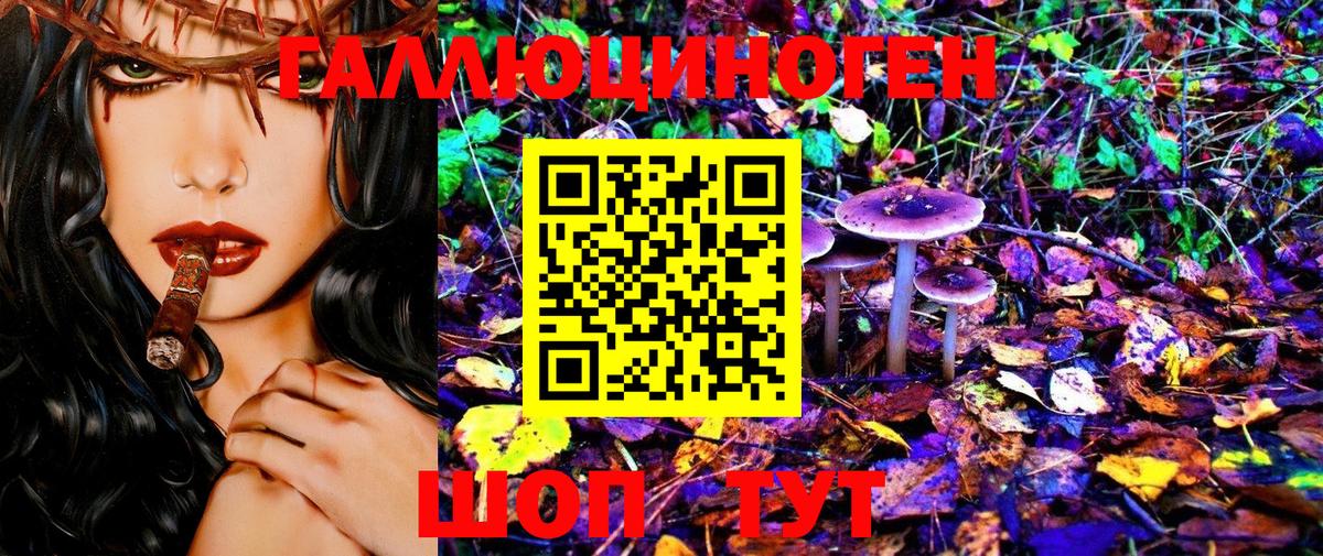 Десногорск  Галлюциногенные грибы GOLDEN TEACHER  Псилоцибиновые грибы Magic Shrooms  Вход с VPN 